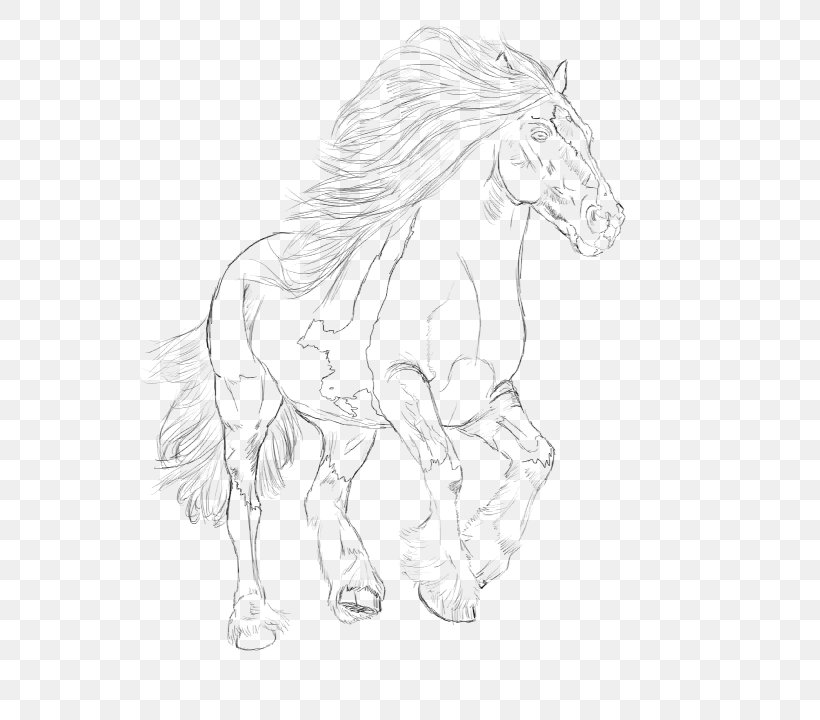 Mane Mustang Appaloosa Gypsy Horse Pony, PNG, 576x720px, Mane, Animal Figure, Appaloosa, Artwork, Black And White Download Free