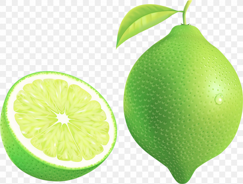 Persian Lime Fruit Citrus Green Lemon, PNG, 3000x2278px, Persian Lime, Citric Acid, Citron, Citrus, Food Download Free