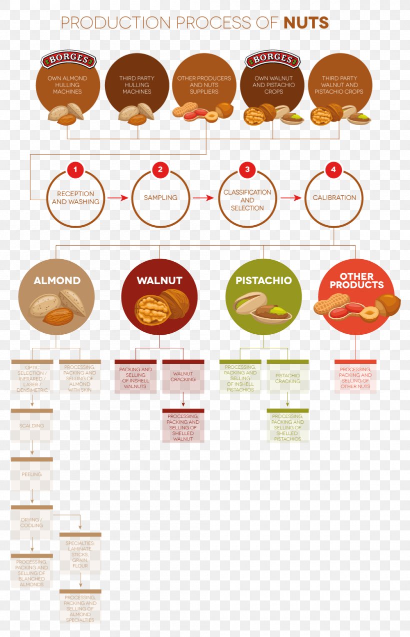 Production Proces Produkcyjny Processus Technology, PNG, 1000x1553px, Production, Auglis, Brand, Dairy, Dairy Product Download Free