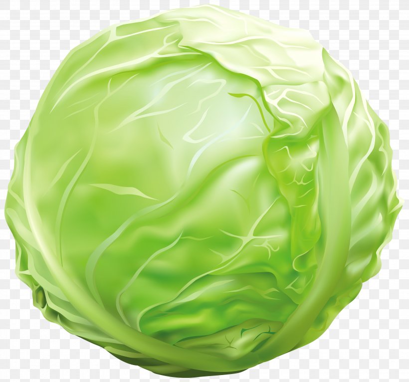 Vegetable Cabbage Lettuce Clip Art, PNG, 3500x3271px, Vegetable, Bell Pepper, Cabbage, Cauliflower, Food Download Free