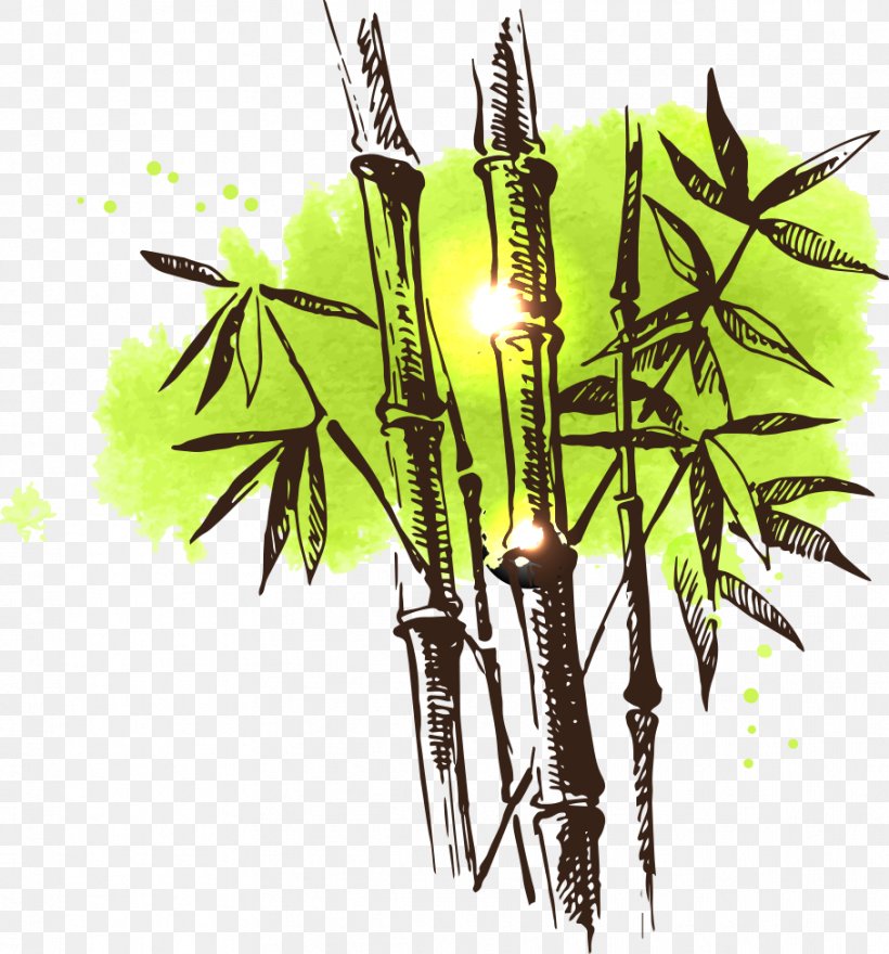 Bamboo Drawing Watercolor Painting Illustration, PNG, 908x975px, Bamboo, Art, Chinese Painting, Drawing, Grass Download Free