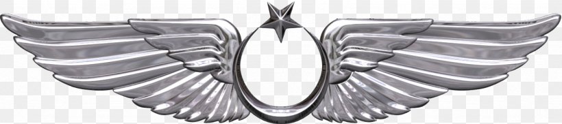 Bröve Turkish Air Force Aircraft Pilot Military, PNG, 1333x296px, Air Force, Aircraft Pilot, Airplane, Army, Aviation Download Free