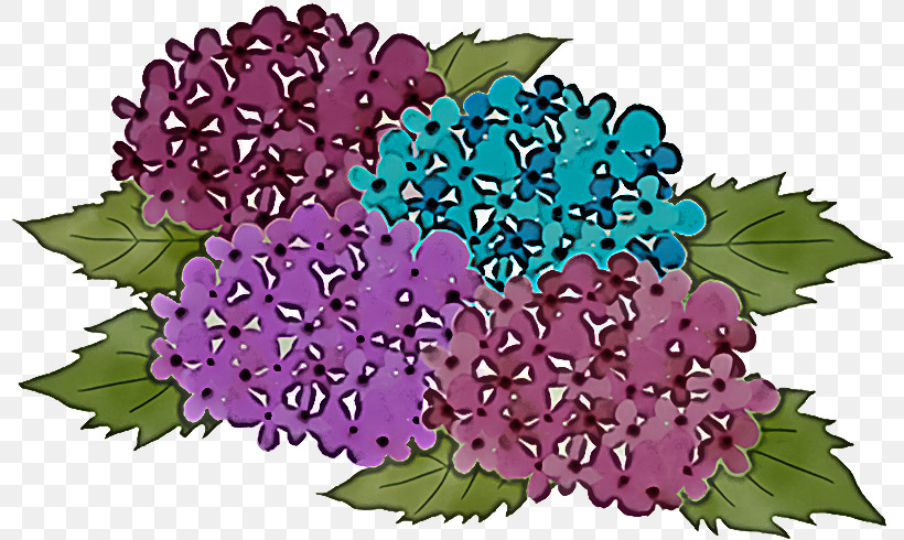 Floral Design, PNG, 800x490px, Shrub, Annual Plant, California Lilacs, Floral Design, Flower Download Free