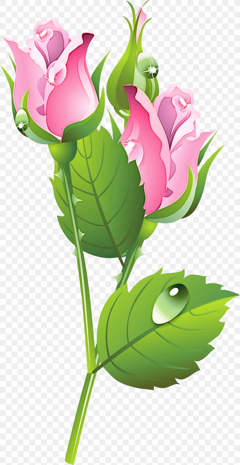 Flower Plant Leaf Cut Flowers Pink, PNG, 950x1839px, Flower, Cut Flowers, Leaf, Petal, Pink Download Free