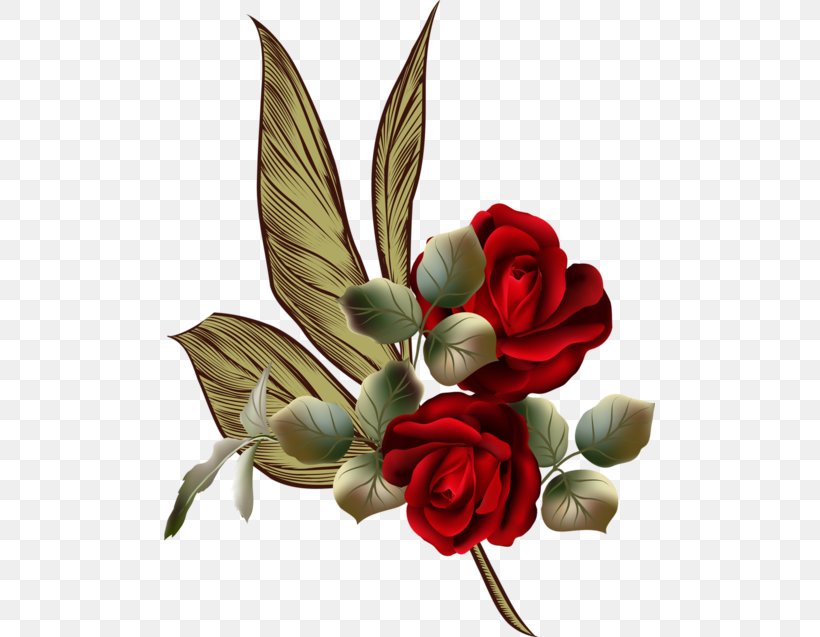 Garden Roses Cut Flowers, PNG, 491x637px, Garden Roses, Anthurium, Art, Artificial Flower, Blog Download Free