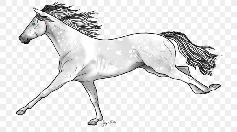 Mustang Stallion Mane Foal Colt, PNG, 1000x558px, Mustang, Animal Figure, Artwork, Bit, Black And White Download Free
