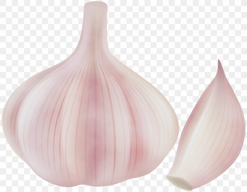 Shallot Garlic Onion Vegetable Elephant Garlic, PNG, 3000x2339px, Watercolor, Allium, Elephant Garlic, Food, Garlic Download Free