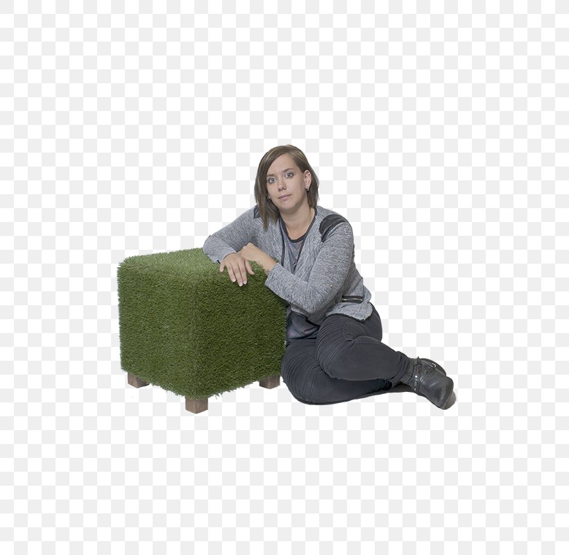 Sofa Bed Sitting Chair, PNG, 500x800px, Sofa Bed, Bed, Chair, Couch, Furniture Download Free