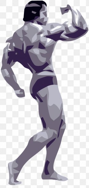 Bodybuilding - Bodybuilding Weight Training Clip Art PNG