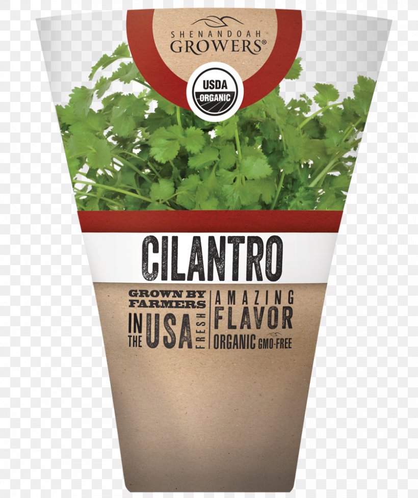 Herb Coriander Organic Food Flavor Seed, PNG, 839x1000px, Herb, Brand, Coriander, Flavor, Flowerpot Download Free