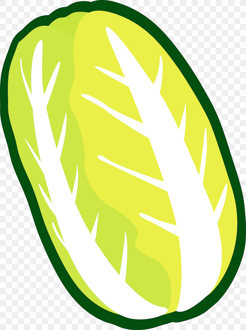 Nappa Cabbage, PNG, 2237x3000px, Nappa Cabbage, Fruit, Green, Leaf, Plant Download Free