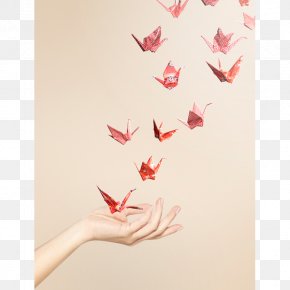 Crane - Sadako And The Thousand Paper Cranes Sadako And The Thousand Paper Cranes Thousand Origami Cranes Orizuru PNG