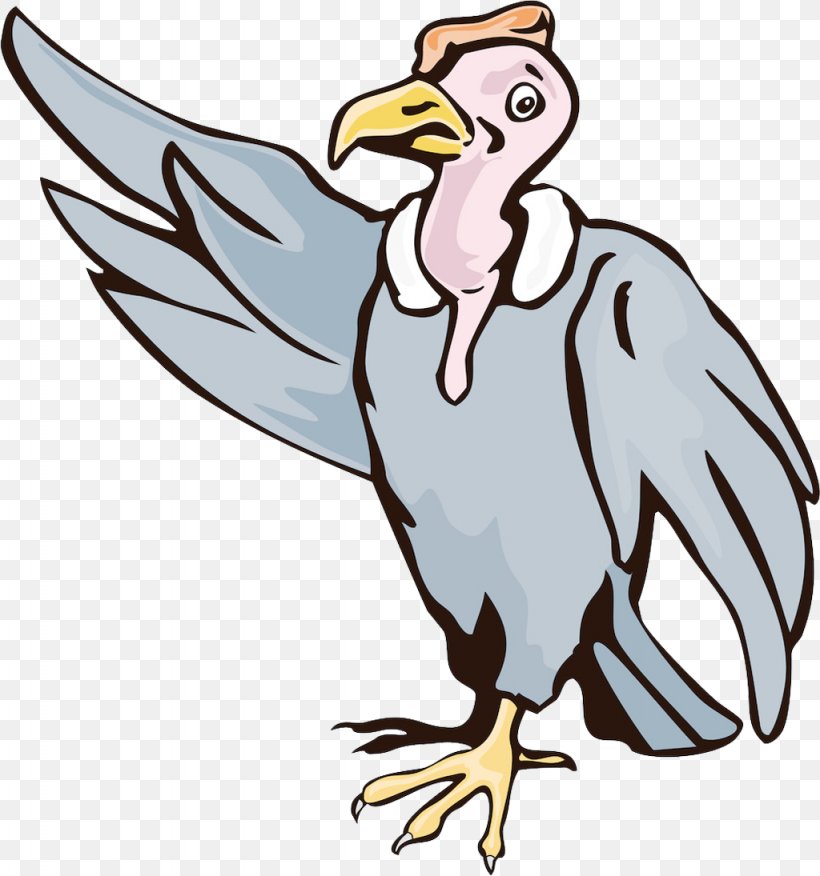 Turkey Vulture Gyps Illustration, PNG, 1024x1095px, Turkey Vulture, Art, Artwork, Beak, Bird Download Free