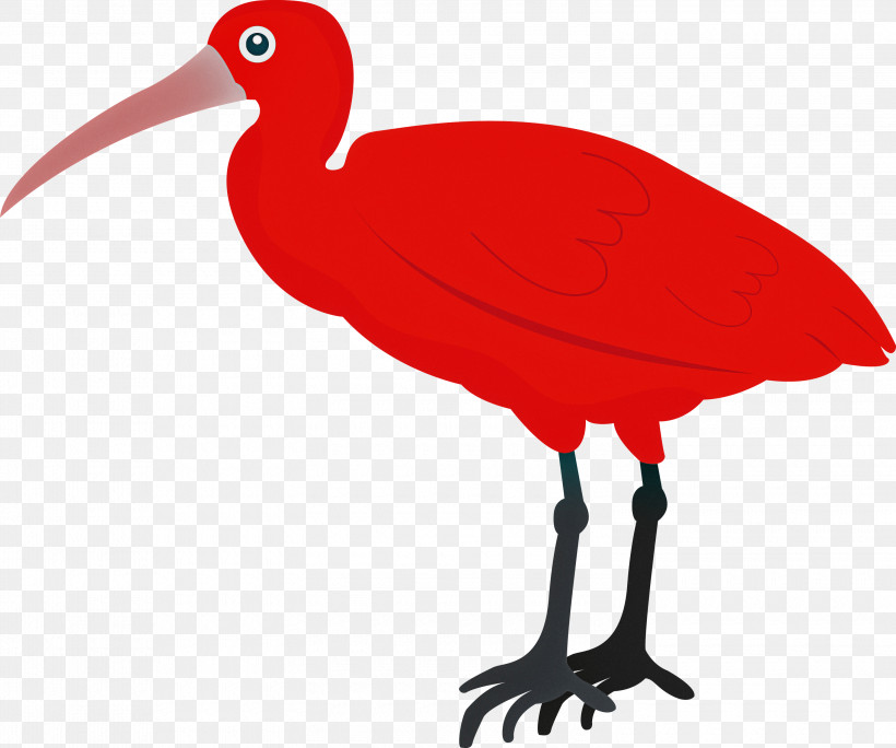 Ibis Birds Beak Water Bird Crane, PNG, 3000x2504px, Cartoon Bird, Beak, Biology, Birds, Crane Download Free