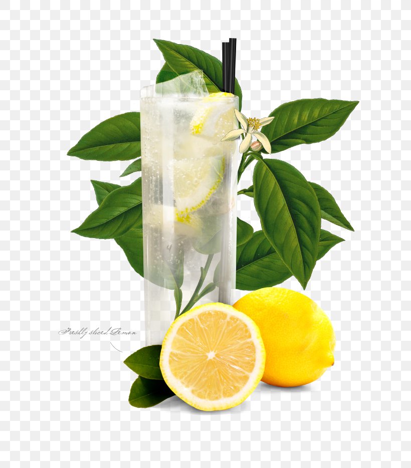 Lemonade Tom Collins Gin Cocktail Garnish, PNG, 660x934px, Lemon, Bar Spoon, Citric Acid, Citrus, Cocktail Download Free