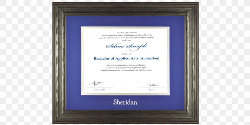 Picture Frames Diploma Academic Certificate Academic Degree Double Degree, PNG, 2000x1000px, Picture Frames, Academic Certificate, Academic Degree, Blue, College Download Free