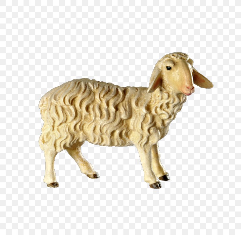 Sheep Argali Bethlehem Goat Christmas Day, PNG, 800x800px, Sheep, Animal, Animal Figure, Argali, Bethlehem Download Free