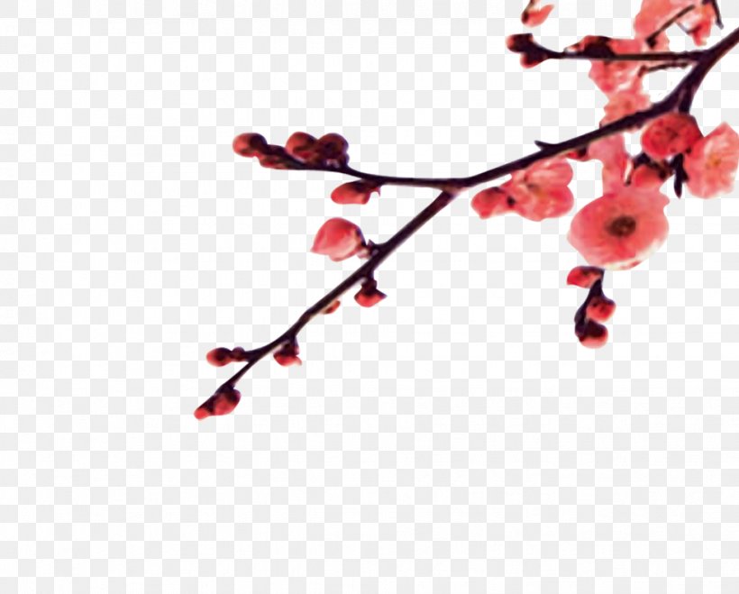 Chinese New Year Plum, PNG, 978x786px, New Year, Branch, Chinese New Year, Flower, Heart Download Free