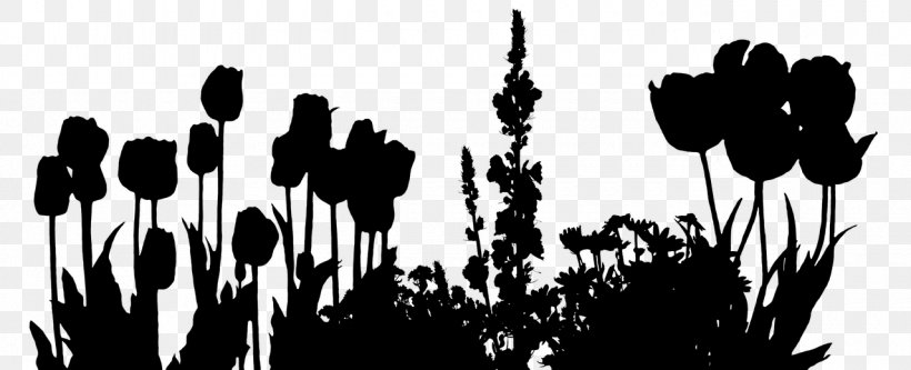 Grasses Desktop Wallpaper Plant Stem Flower Font, PNG, 1280x520px, Grasses, Black M, Blackandwhite, Branching, Commodity Download Free