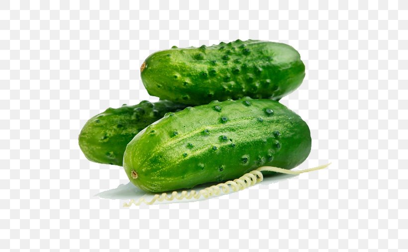 Pickled Cucumber Vegetable Roma Tomato Auglis, PNG, 658x506px, Cucumber, Auglis, Capsicum, Cucumber Gourd And Melon Family, Cucumis Download Free