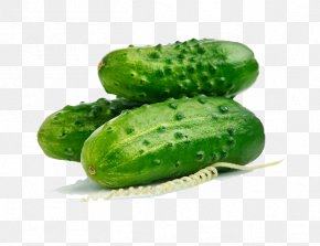 Cucumber - Pickled Cucumber Vegetable Roma Tomato Auglis PNG