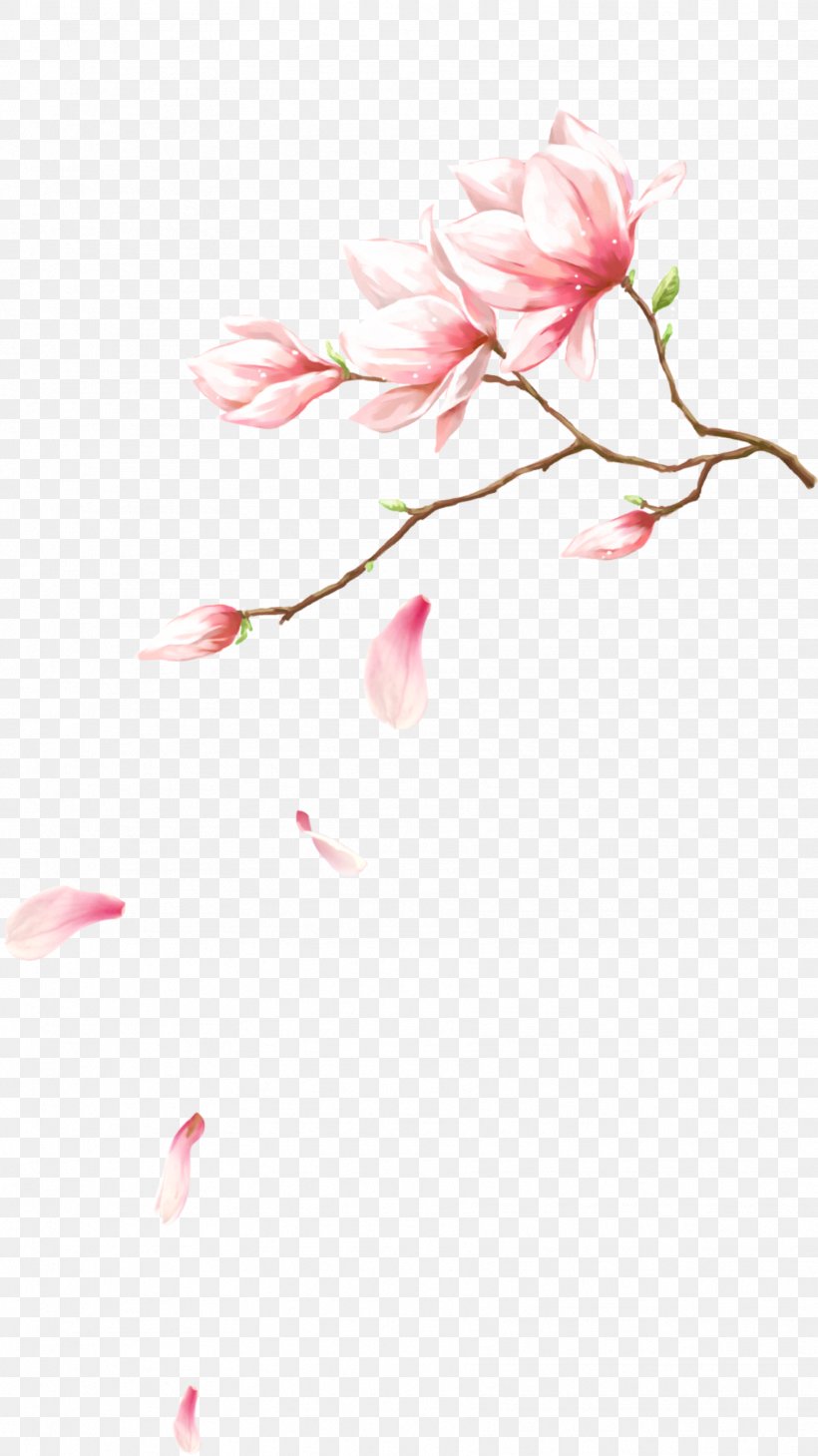 Pink Flowers Petal Computer File, PNG, 1772x3154px, Flower, Blossom, Branch, Cherry Blossom, Color Download Free