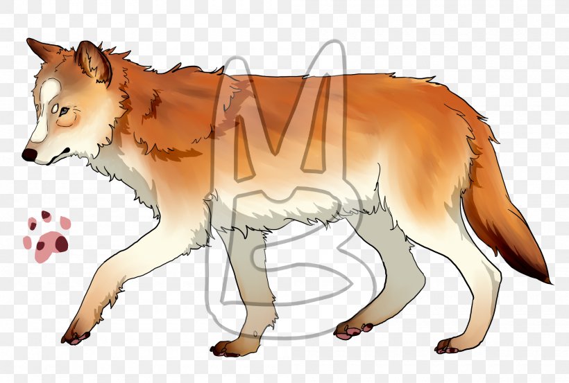 Red Fox Red Wolf Gray Wolf Snout, PNG, 2000x1349px, Red Fox, Animal, Carnivoran, Cartoon, Character Download Free