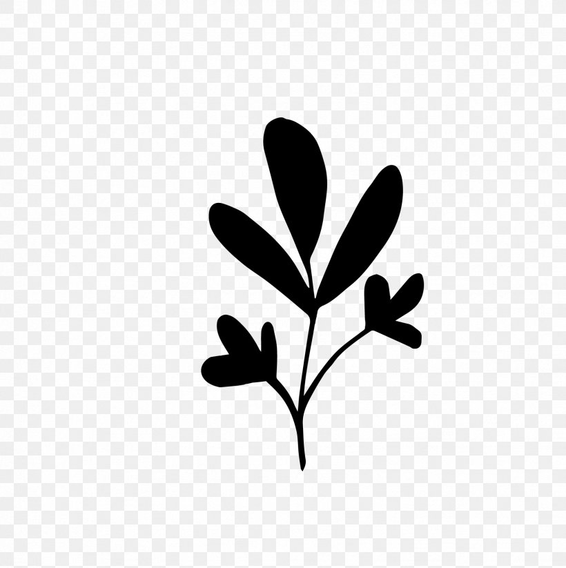 Twig Plant Stem Leaf Flower Desktop Wallpaper, PNG, 1709x1716px, Twig, Blackandwhite, Botany, Branch, Computer Download Free