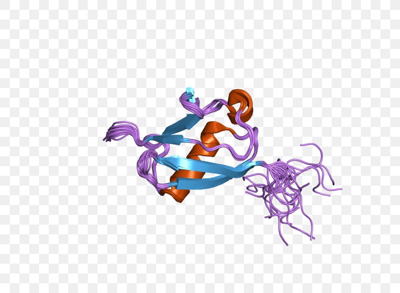 UBL4A Illustration Protein Human Ubiquitin, PNG, 800x600px, Protein, Art, Body Jewellery, Body Jewelry, Ensembl Download Free