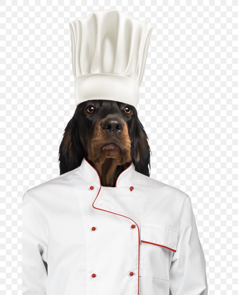 Dog Breed Gordon Setter Snout Sleeve, PNG, 667x1017px, Dog Breed, Breed, Cook, Cooking, Dog Download Free