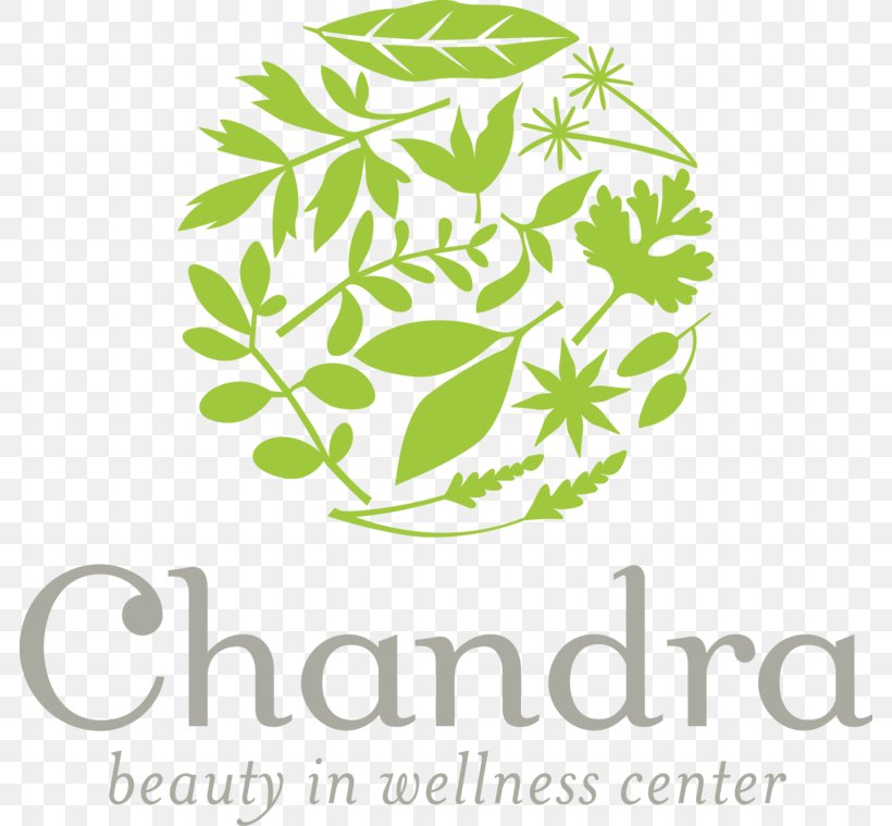 Chandra Beauty In Wellness Center Herbal Wellness Center Massage Health, Fitness And Wellness Ache, PNG, 784x759px, Massage, Ache, Area, Branch, Brand Download Free