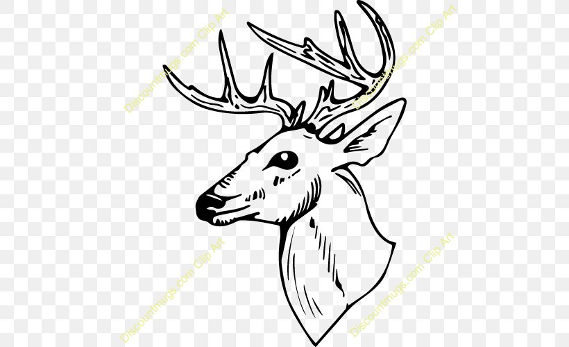 Clip Art Coloring Book White-tailed Deer, PNG, 500x500px, Coloring Book, Antler, Artwork, Black And White, Book Download Free