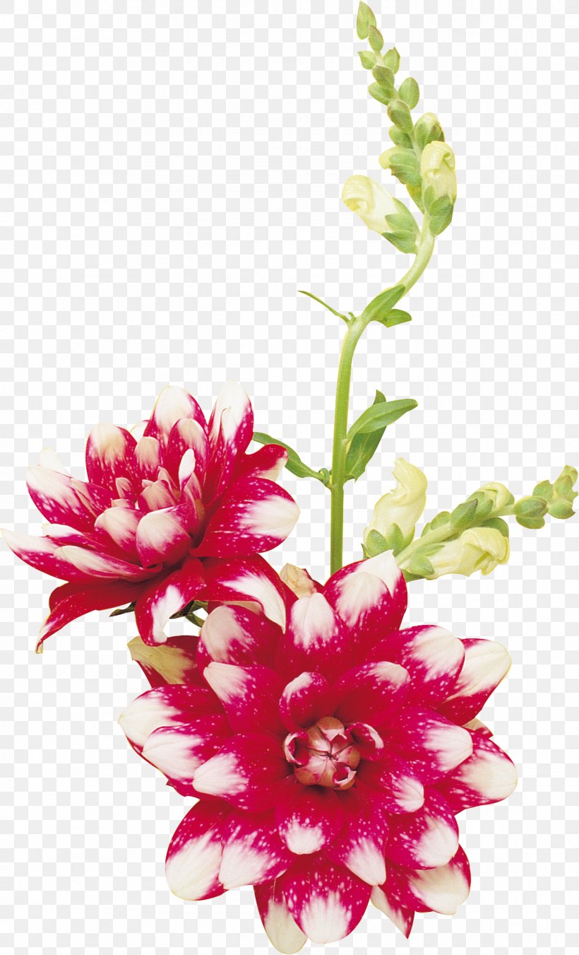 Flower Floral Design Clip Art, PNG, 1289x2124px, Flower, Artificial Flower, Cut Flowers, Dendrobium, Flora Download Free