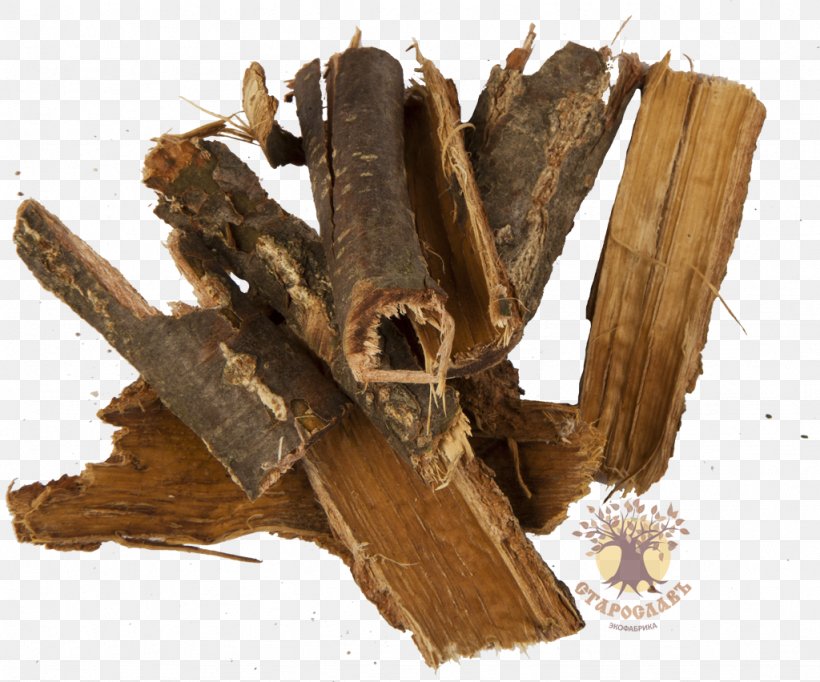 Bark English Oak Tree Root Extract, PNG, 1024x852px, Bark, Catkin, Common Sage, Decoction, English Oak Download Free