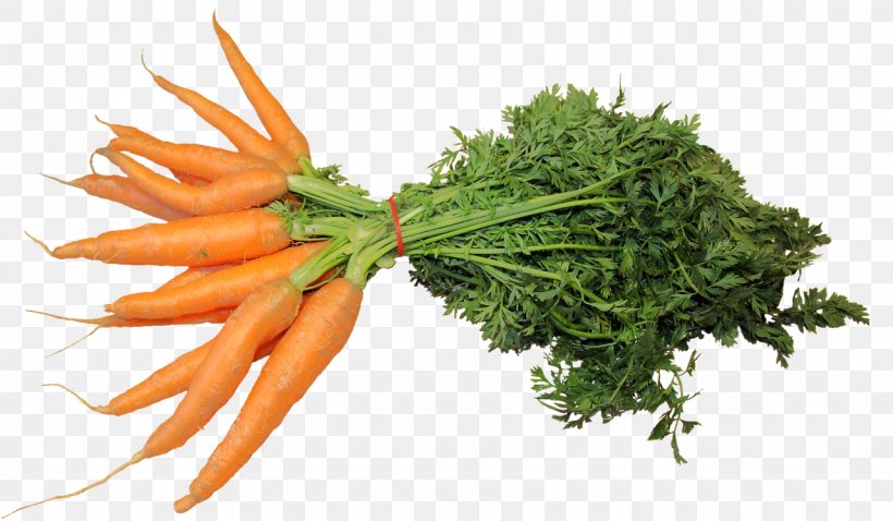 Carrot Vegetable Eating Food Celery, PNG, 1280x747px, Carrot, Carotene, Carrot Seed Oil, Celery, Eating Download Free