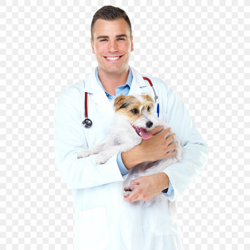 Dog Veterinarian Surgery Physician Pet, PNG, 1000x1000px, Dog, Advertising, Anesthesia, Carnivoran, Companion Dog Download Free
