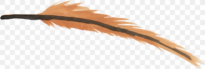 Feather Watercolor Painting Clip Art, PNG, 1560x526px, Feather, Animation, Beak, Digital Media, Paintbrush Download Free