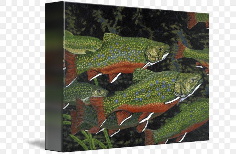 Fish Rainbow Trout Brook Trout Salmon, PNG, 650x537px, Fish, Amphibian, Aquariums, Atlantic Salmon, Brook Trout Download Free
