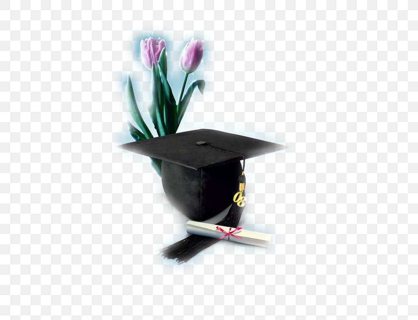 Graduation Ceremony Bachelor's Degree Hat Academic Degree Academic Certificate, PNG, 466x629px, Graduation Ceremony, Academic Certificate, Academic Degree, Bachelor S Degree, Bonnet Download Free
