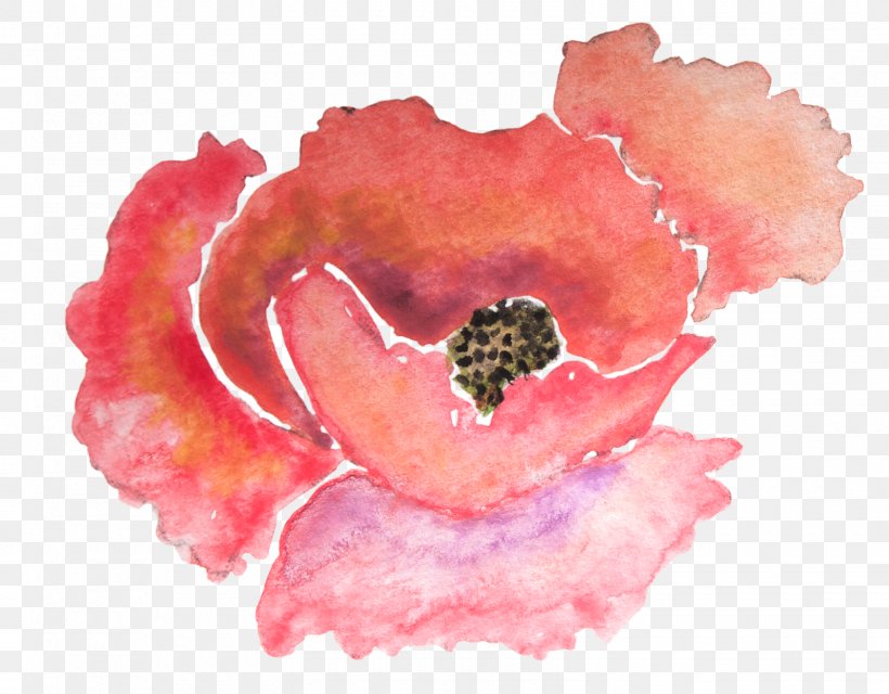 Paper Poppy Watercolor Painting Flower Zazzle, PNG, 1600x1249px, Paper, Art, Burgundy, Common Poppy, Coral Download Free