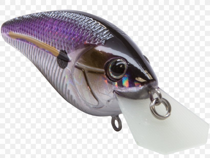 Spoon Lure Fishing Baits & Lures Threadfin Shad .cf, PNG, 1200x900px, Spoon Lure, Bait, Fish, Fishing Bait, Fishing Baits Lures Download Free