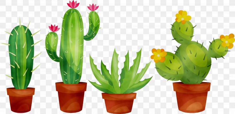 Cactus Clip Art Succulent Plant, PNG, 5816x2842px, Cactus, Botany, Cartoon, Caryophyllales, Designing With Succulents Download Free