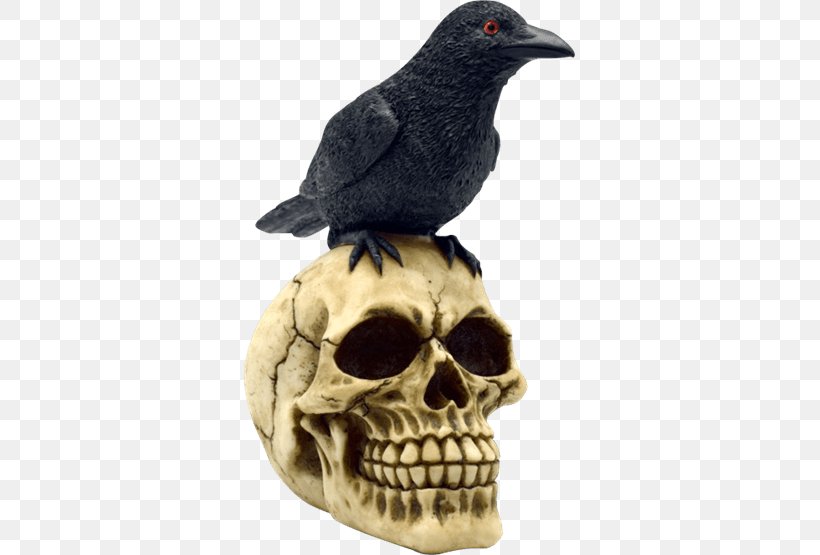 Figurine Witchcraft Skull Spell Statue, PNG, 555x555px, Figurine, Amulet, Beak, Black Magic, Candle Download Free
