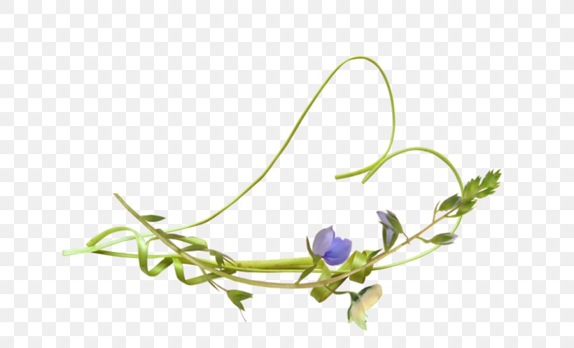 Floral Design Twig Plant Stem Leaf Petal, PNG, 699x497px, Floral Design, Branch, Flora, Flower, Flowering Plant Download Free