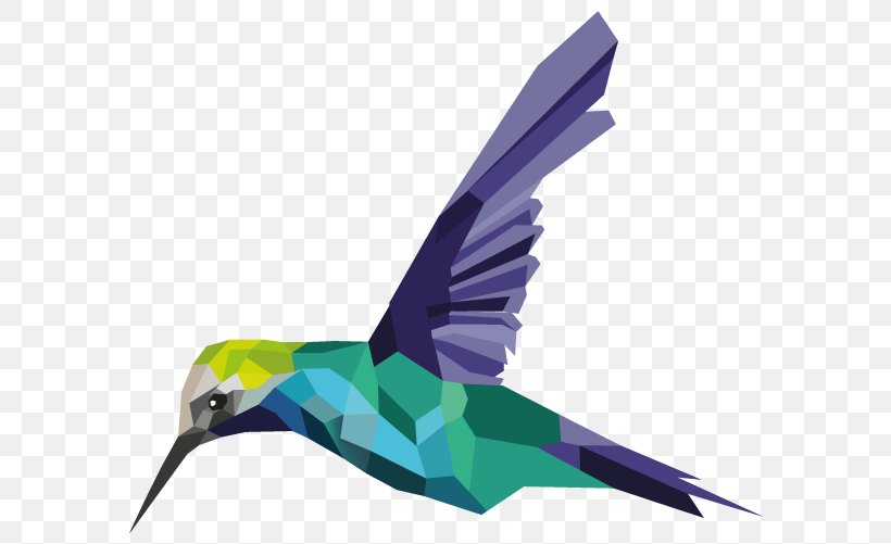 Hummingbird Feather Fauna Beak Parakeet, PNG, 600x501px, Hummingbird, Beak, Bird, Fauna, Feather Download Free