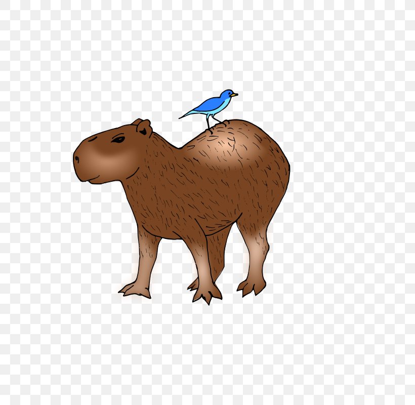 Capybara Beaver Clip Art, PNG, 618x800px, Capybara, Animal Figure, Aquatic Mammal, Bear, Beaver Download Free