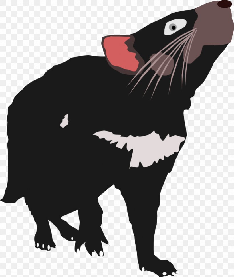 Cat Tasmanian Devil Vertebrate Taz: Wanted, PNG, 822x971px, Cat, Animal, Art, Bear, Carnivoran Download Free