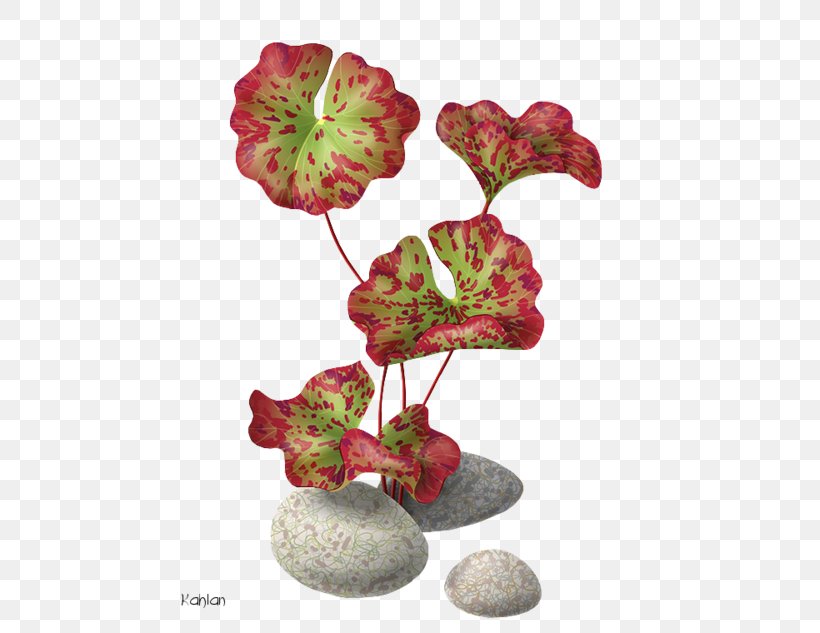 Flower Nelumbo Nucifera Royalty-free Water Lily Clip Art, PNG, 500x633px, Flower, Drawing, Flowering Plant, Flowerpot, Nelumbo Nucifera Download Free