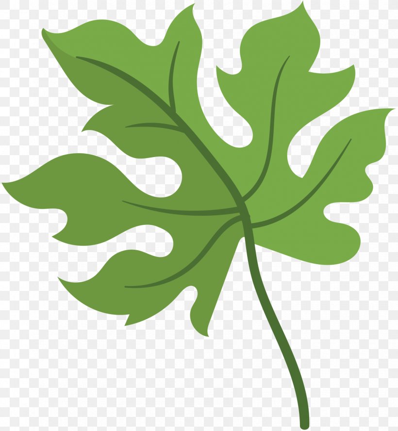 Leaf Clip Art Plant Stem Tree Plants, PNG, 1685x1828px, Leaf, Botany, Flower, Flowering Plant, Green Download Free