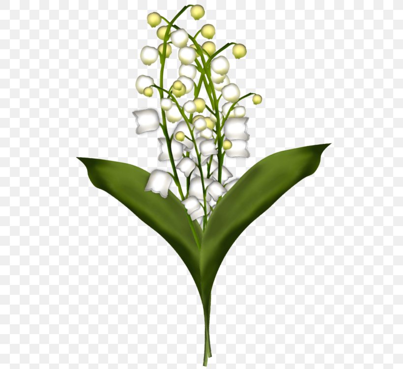 Lily Of The Valley Animaatio Flower, PNG, 545x751px, Watercolor, Cartoon, Flower, Frame, Heart Download Free